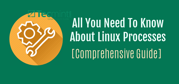 Alles, was Sie über Prozesse unter Linux wissen müssen [umfassende Anleitung]